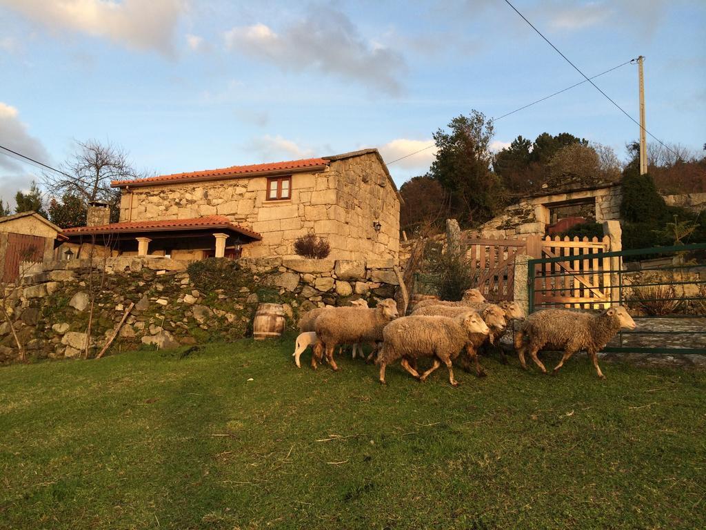 Gasthaus Refugio Dos Cregos Riba de Mouro Exterior foto
